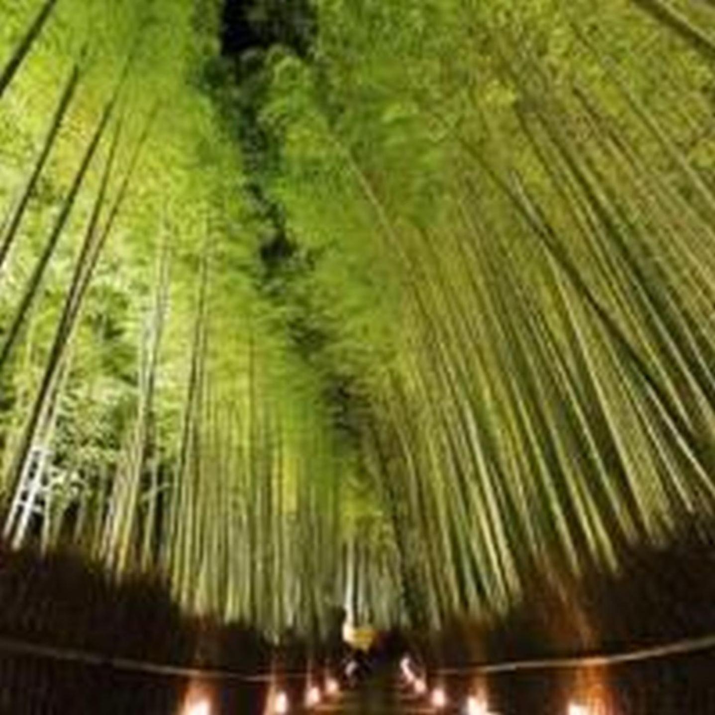 むつみ庵此花601 Leilighet Ōsaka Eksteriør bilde