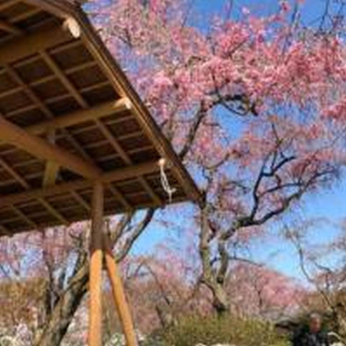 むつみ庵此花601 Leilighet Ōsaka Eksteriør bilde